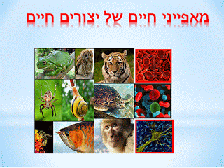 מאפייני החיים- מגישות: שרון בן שושן, הילה מאירוביץ’ ואורנה אוחיון by sharongali - Ourboox.com