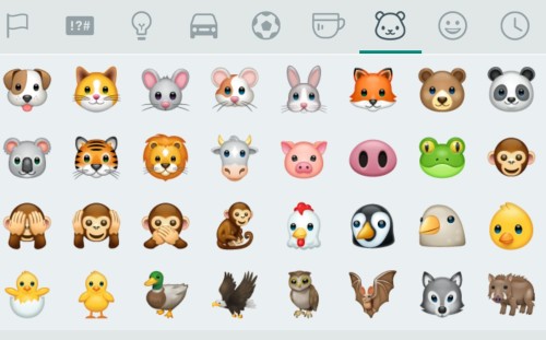 My Book of Animals By: Elinoy Burchim by Noam Banot Pisgat Zeev - Illustrated by Elinoy Brchim - Ourboox.com