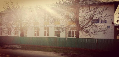 HEALTHY LOCAL SANDWICHES DAY by Pătru Lucian-Cătălin - Ourboox.com