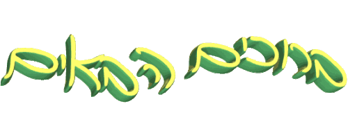 My Verbs book:Yeella Gershuni by Noam Banot Pisgat Zeev - Ourboox.com