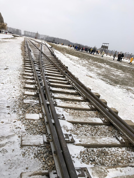 مسار بولندا המסע לפולין by assel - Ourboox.com