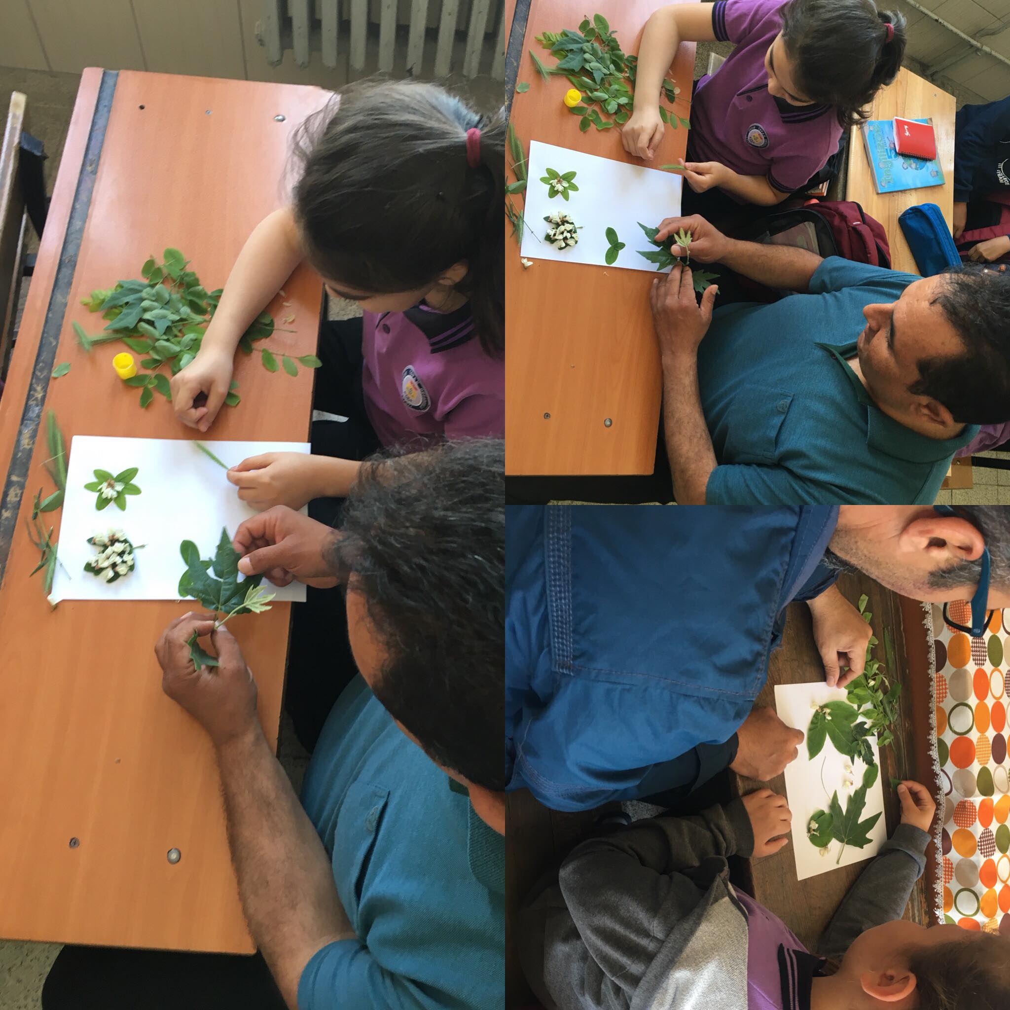 BABACIĞIM BENİMLE OYNAR MISIN?PROJESİ ARALIK -OCAK ÇALIŞMALARIMIZ by KEVSER - Ourboox.com