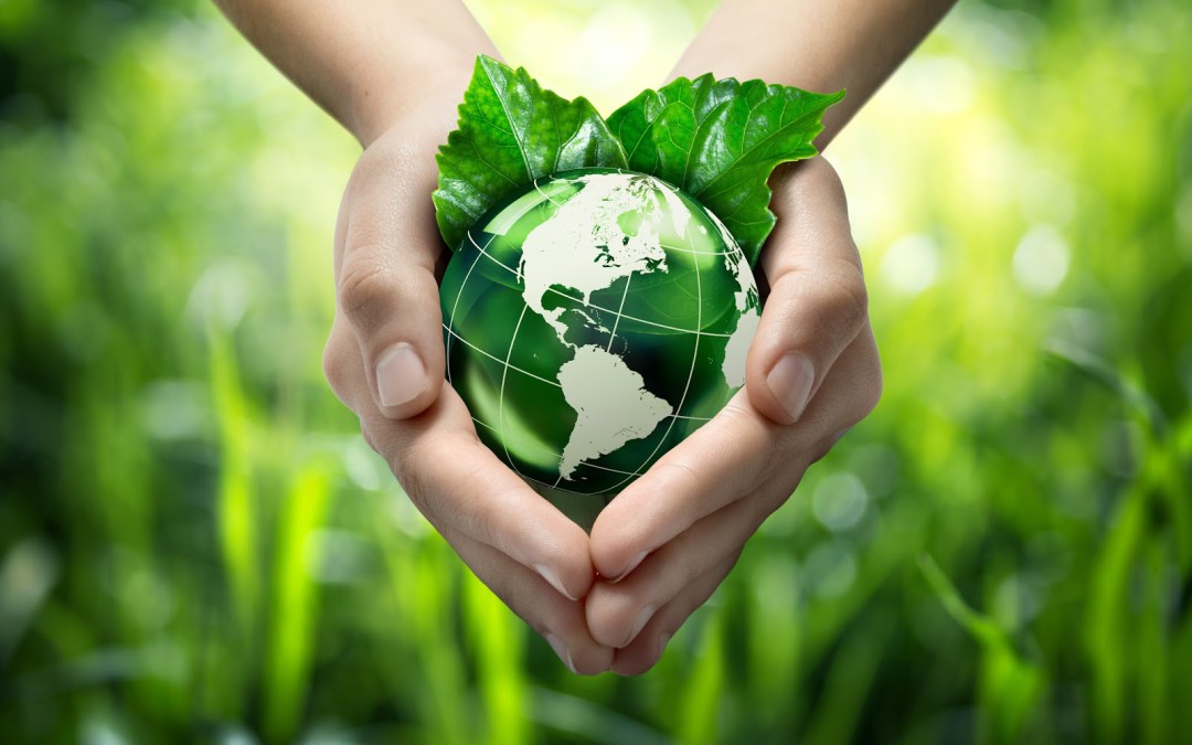 الوسط البيئي by amjeddghais - Illustrated by أمجد الدّغيس-قصي الدّغيس-صادق العابد - Ourboox.com