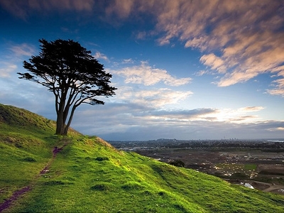 الوسط البيئي by amjeddghais - Illustrated by أمجد الدّغيس-قصي الدّغيس-صادق العابد - Ourboox.com