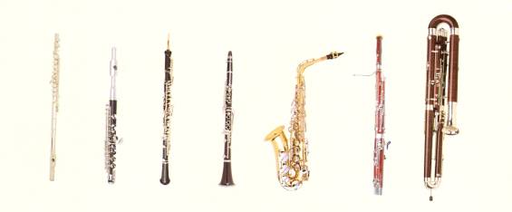 הנגינה בתזמורת by navtvri gargam`el - Illustrated by קבוצה 25 - Ourboox.com