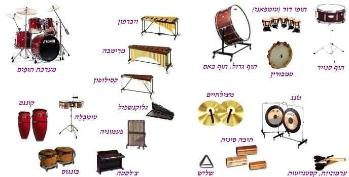 הנגינה בתזמורת by navtvri gargam`el - Illustrated by קבוצה 25 - Ourboox.com
