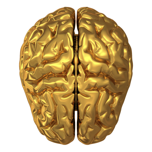 صاحب الدماغ الذهبي by nada - Illustrated by Nada Ahmad - Ourboox.com