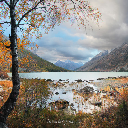 проблеми екології України by diana - Ourboox.com