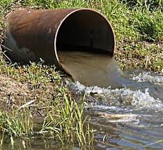 проблеми екології України by diana - Ourboox.com