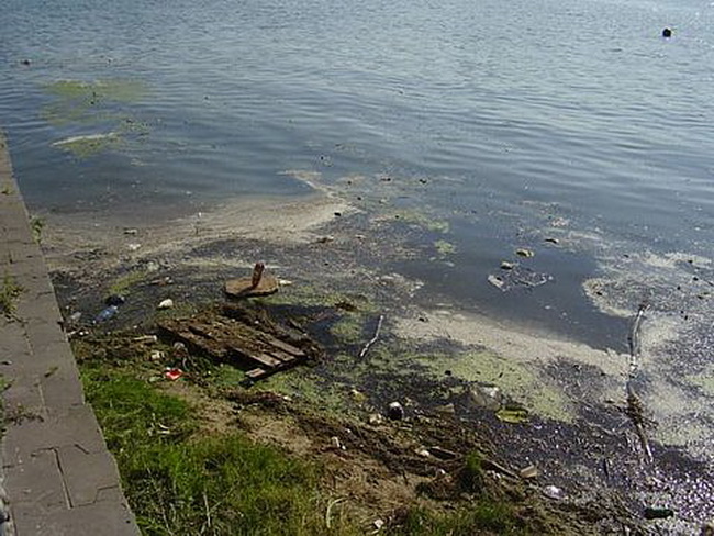 проблеми екології України by diana - Ourboox.com