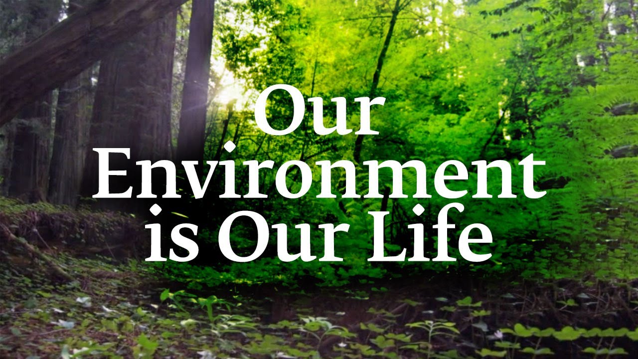 We and The Environment by Perchyck O - Ourboox.com