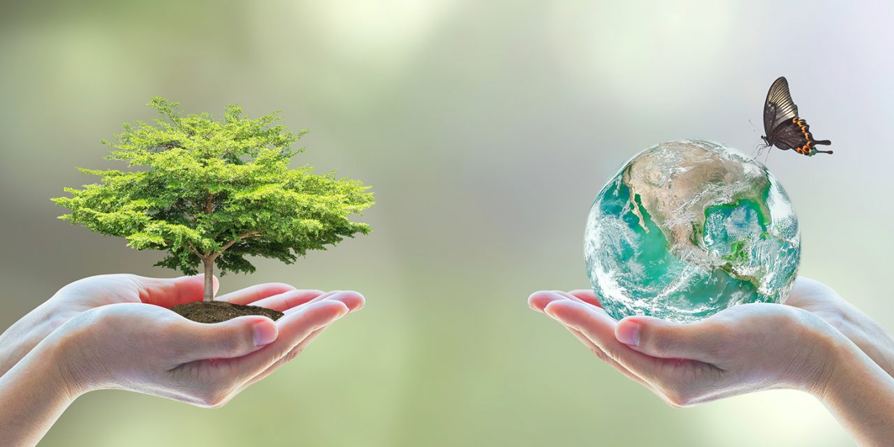 We and The Environment by Perchyck O - Ourboox.com