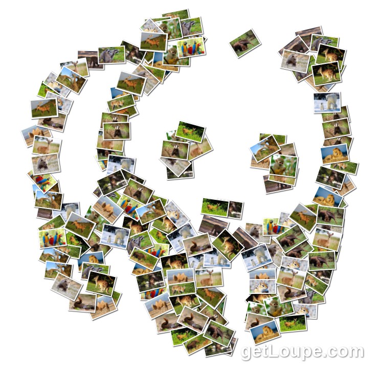 Дикі тварини by Melenevych Luibov - Ourboox.com