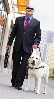 Twin Towers Rescue by eitan - Ourboox.com