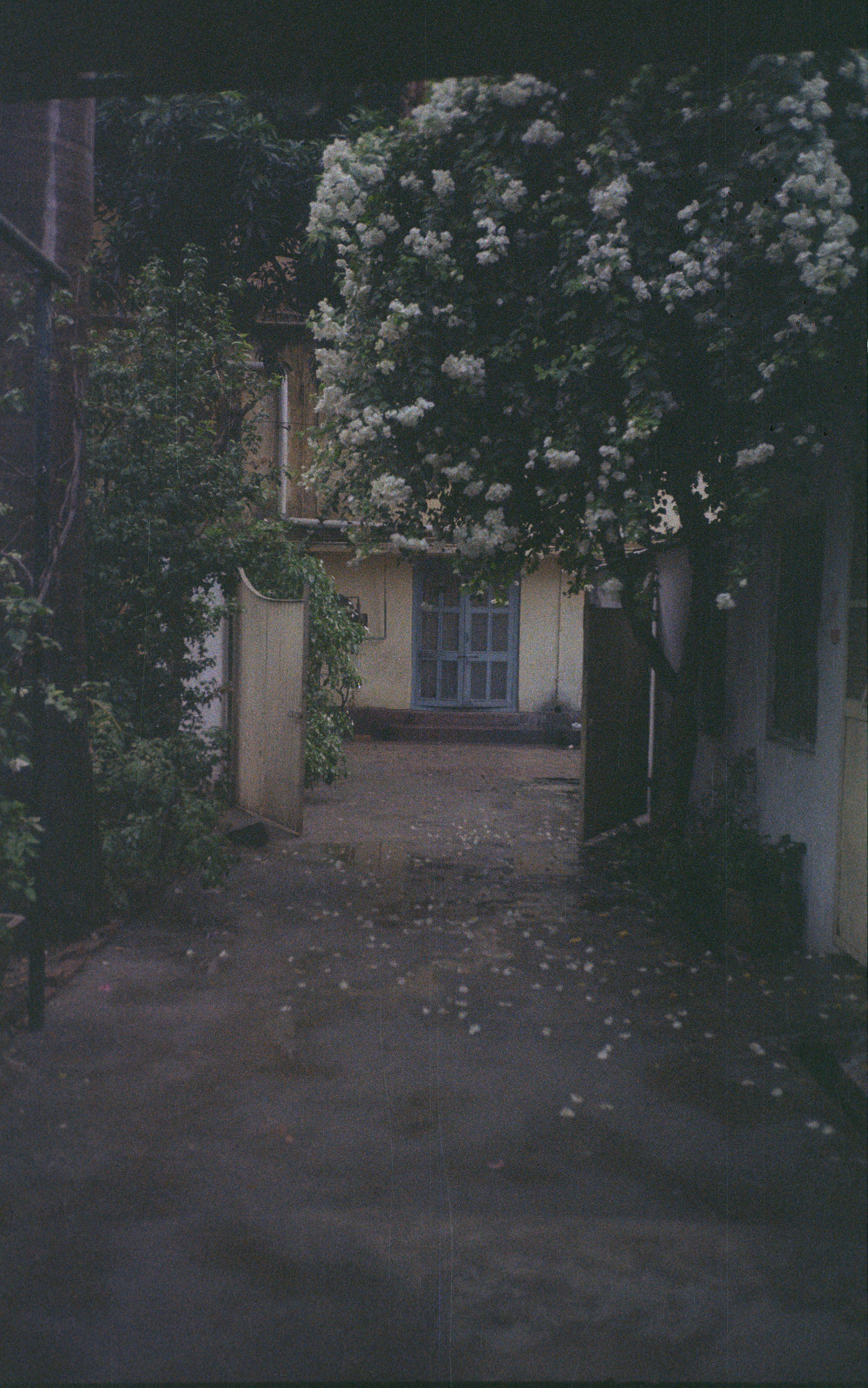 Fair Skin by Kannagi Khanna - Ourboox.com