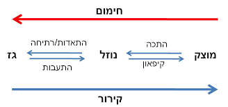ספר המדעים by LIRAN BAR ZIV - Illustrated by לירן בר זיו - Ourboox.com