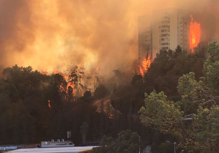 Fire in Haifa by noya - Ourboox.com