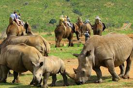 الوسط البيئي by amjeddghais - Illustrated by أمجد الدّغيس-قصي الدّغيس-صادق العابد - Ourboox.com