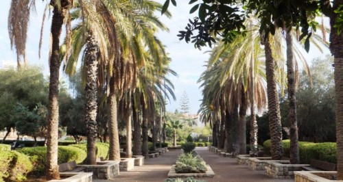 גן העיר ראשון לציון by hadas haelion - Illustrated by הדס - Ourboox.com