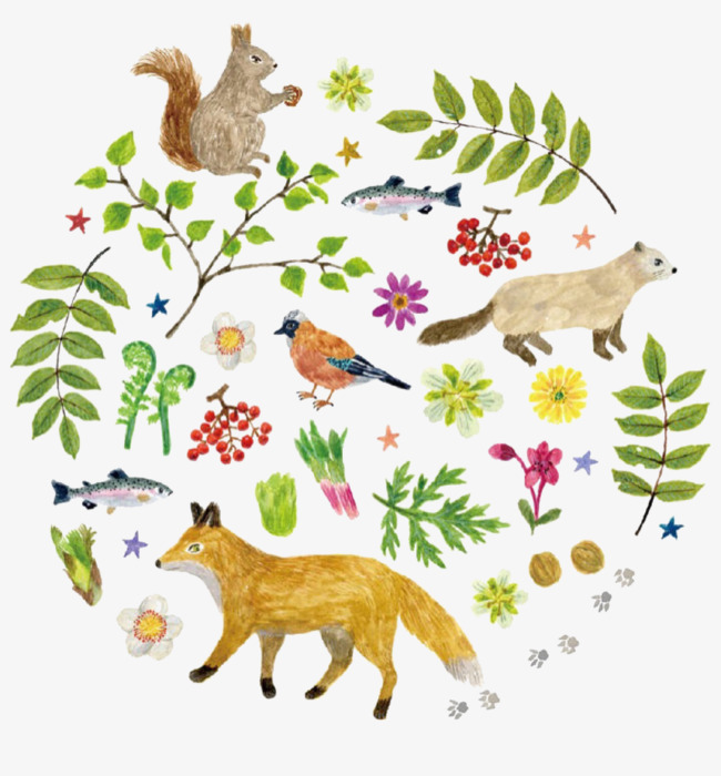 السلسلة الغذائيّة by azerbousselmi - Illustrated by آزر البوسالمي مهدي عمّار ياسين العبيدي 6 - Ourboox.com