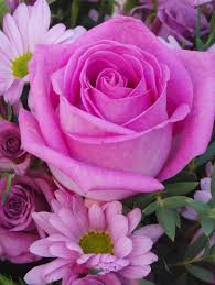 الزهرة by yessineraboudi - Illustrated by ياسين الرّبّودي ،عزيز الغضبان،يوسف مامي س 6 - Ourboox.com