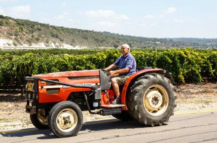 מי היה דוד בן גוריון ? by efrat asraf - Illustrated by אפרת אסרף - Ourboox.com