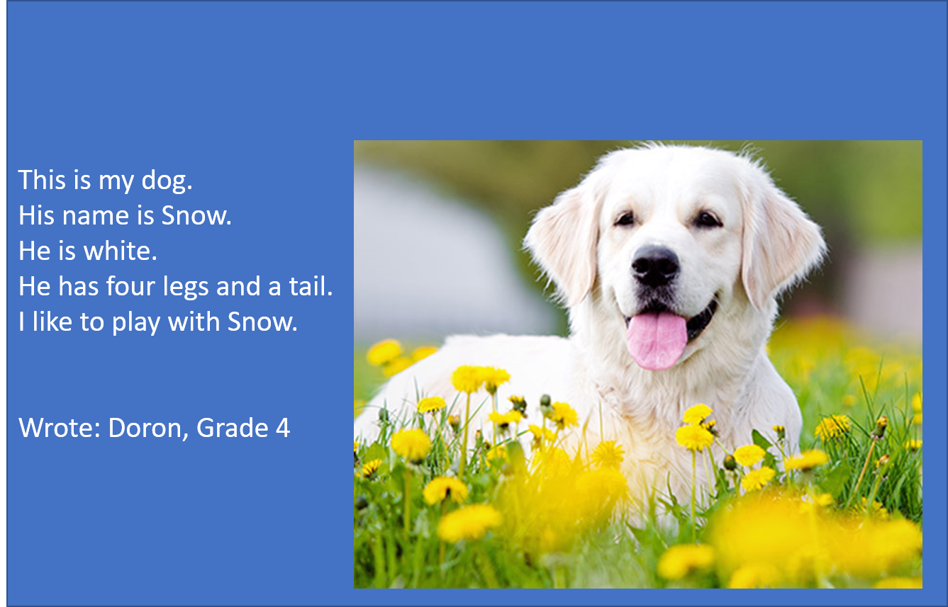 My Jungle Book by Meital - Ourboox.com