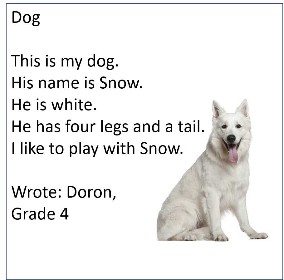 My Jungle Book by Meital - Ourboox.com