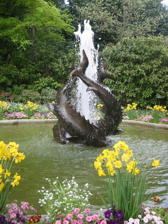 كندا by alaabed - Ourboox.com