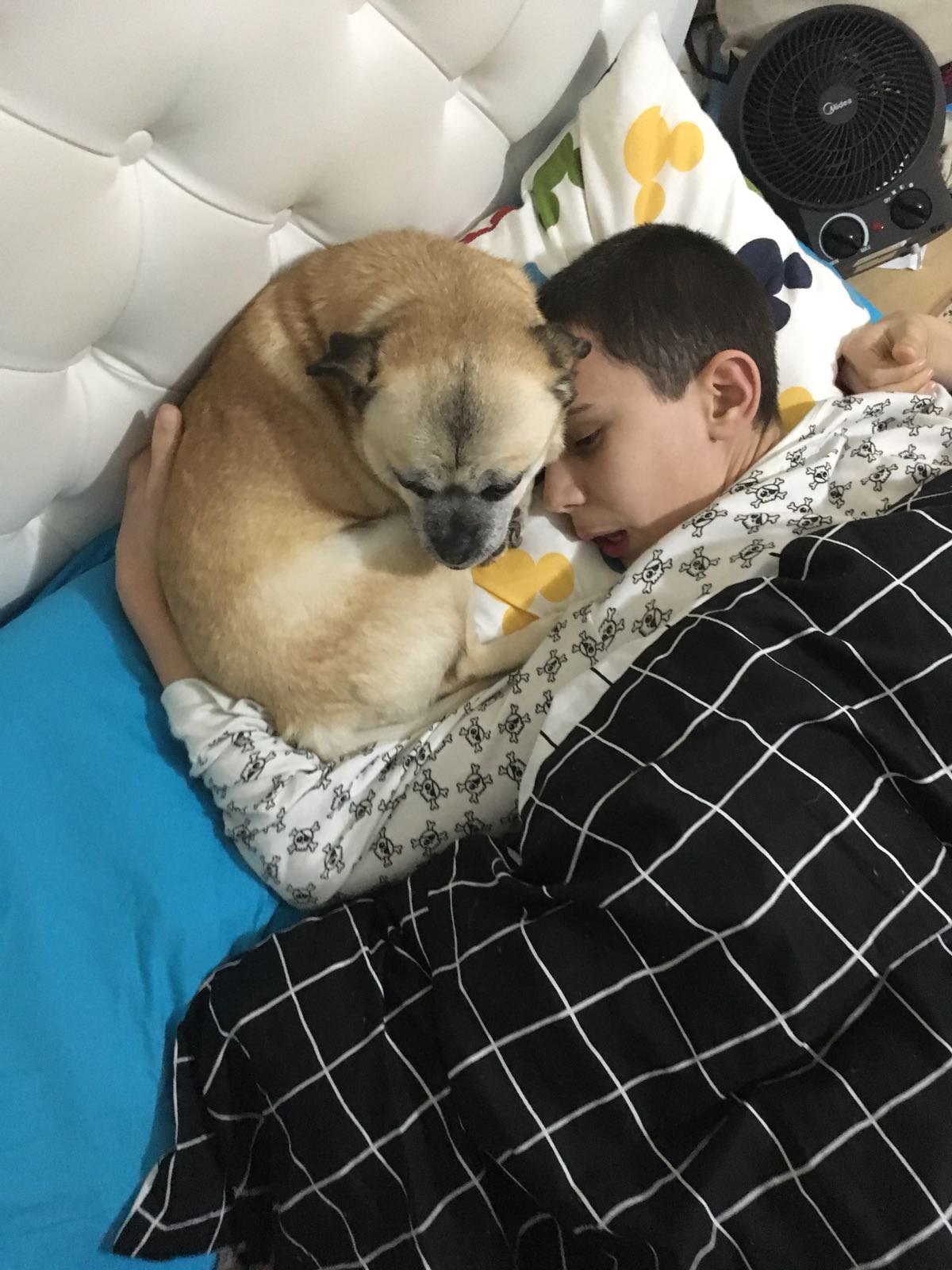 באצ’י by hagar negev - Illustrated by יהונתן רם - Ourboox.com