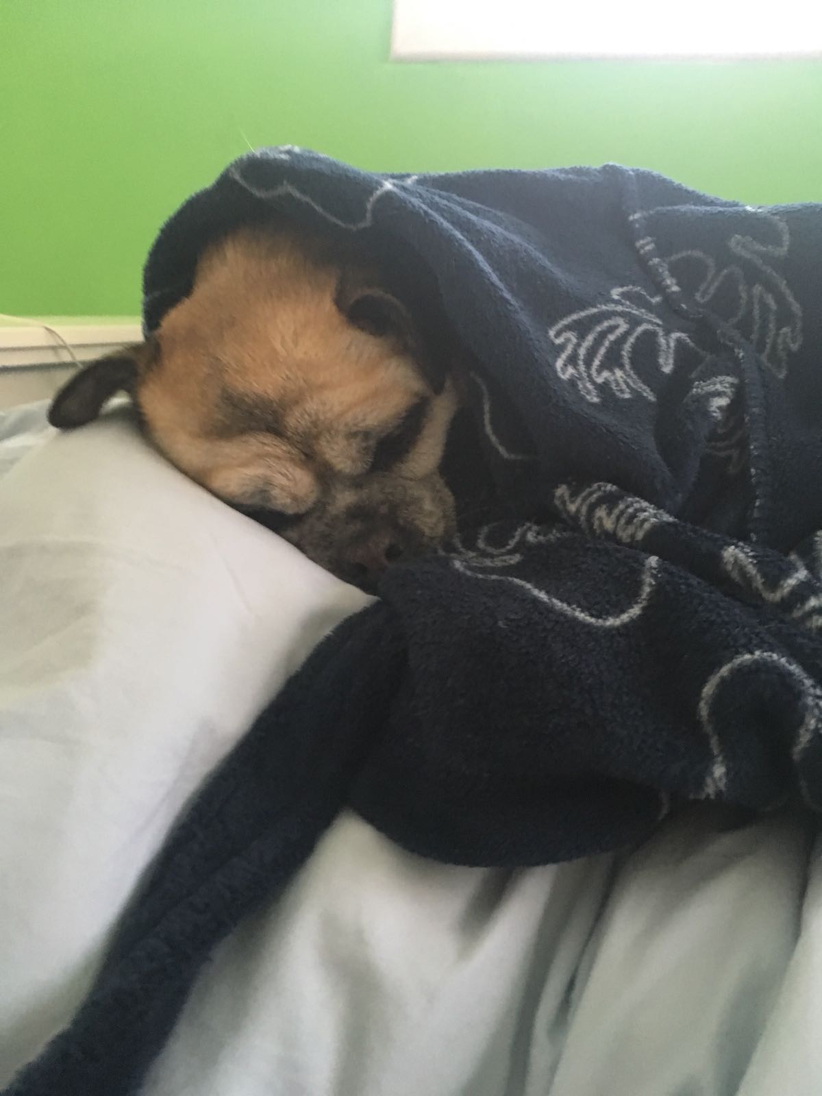 באצ’י by hagar negev - Illustrated by יהונתן רם - Ourboox.com