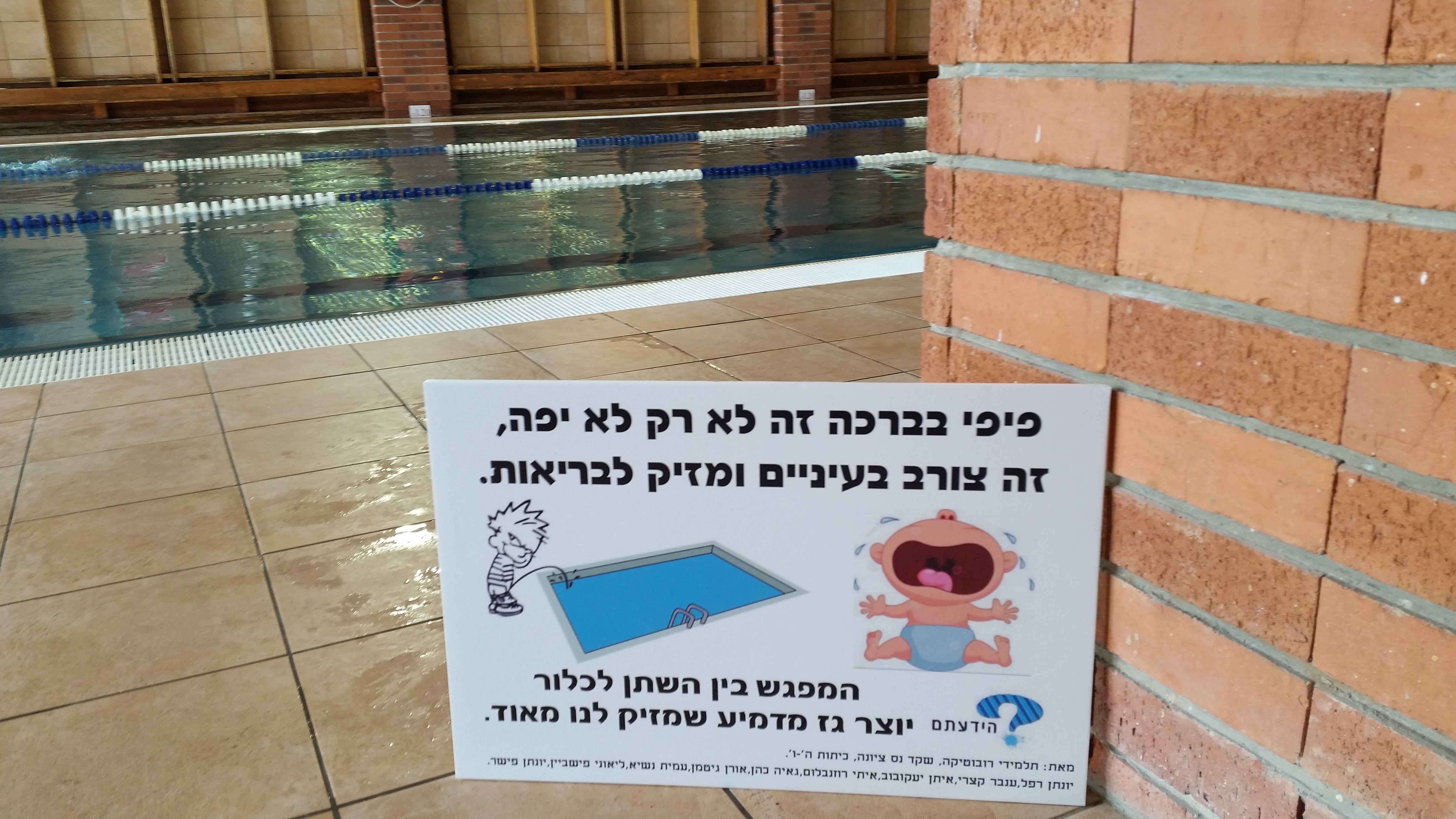 בבריכה ברחובות