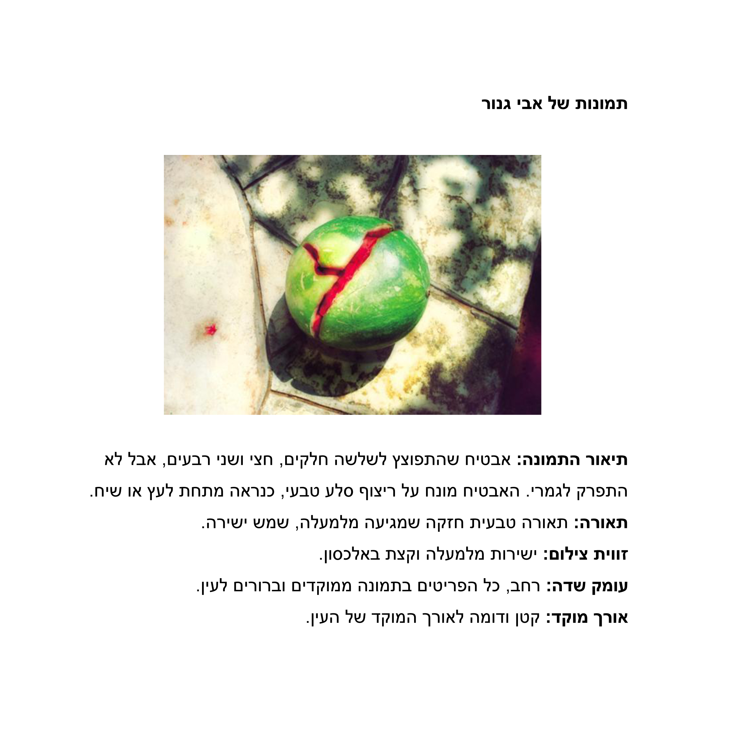 פרויקט גמר צילומי אוכל by elad hay - Illustrated by אלעד חי - Ourboox.com