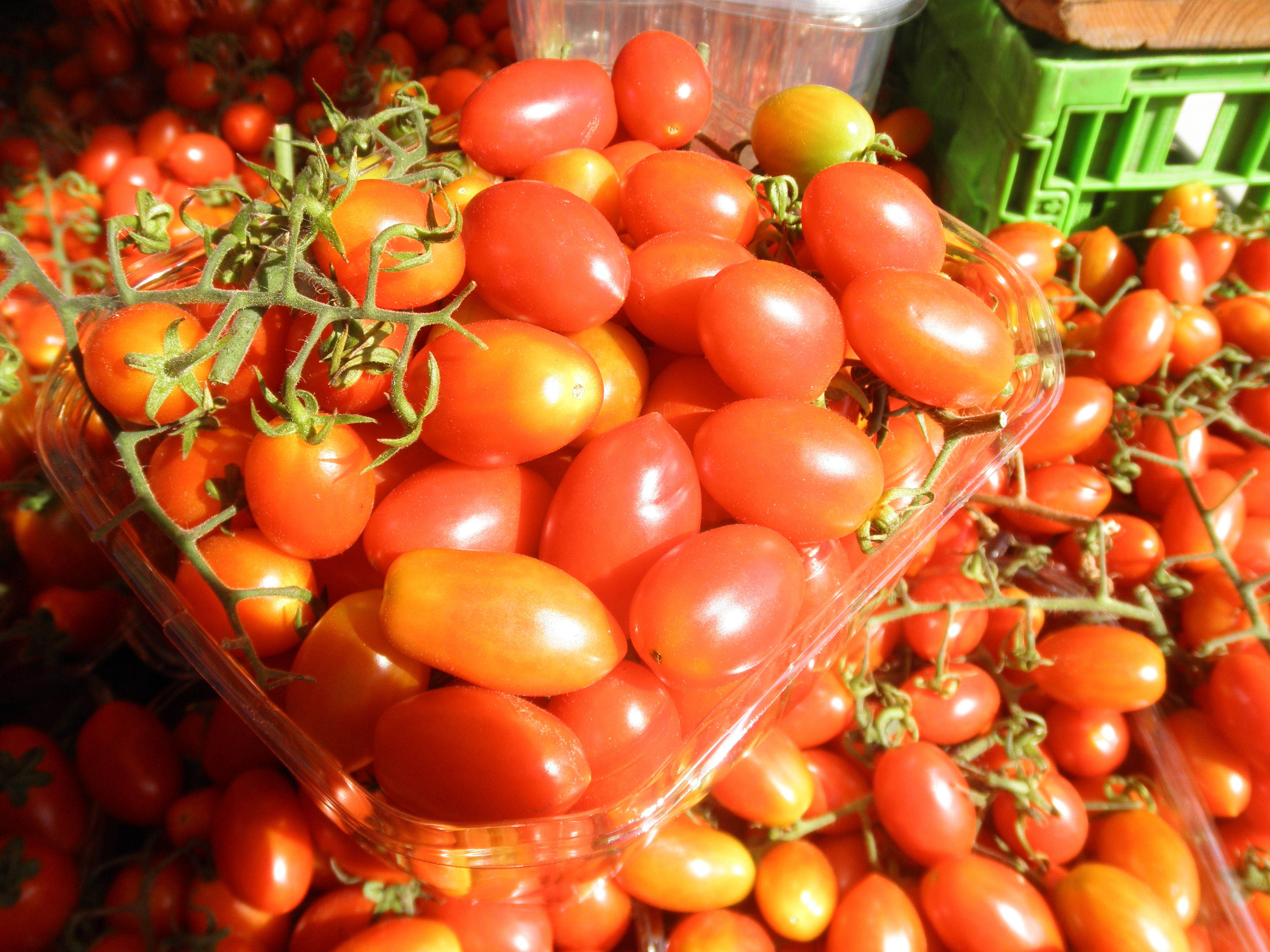 פרויקט גמר צילומי אוכל by elad hay - Illustrated by אלעד חי - Ourboox.com