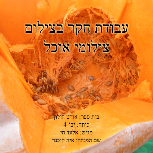 פרויקט גמר צילומי אוכל by elad hay - Illustrated by אלעד חי - Ourboox.com