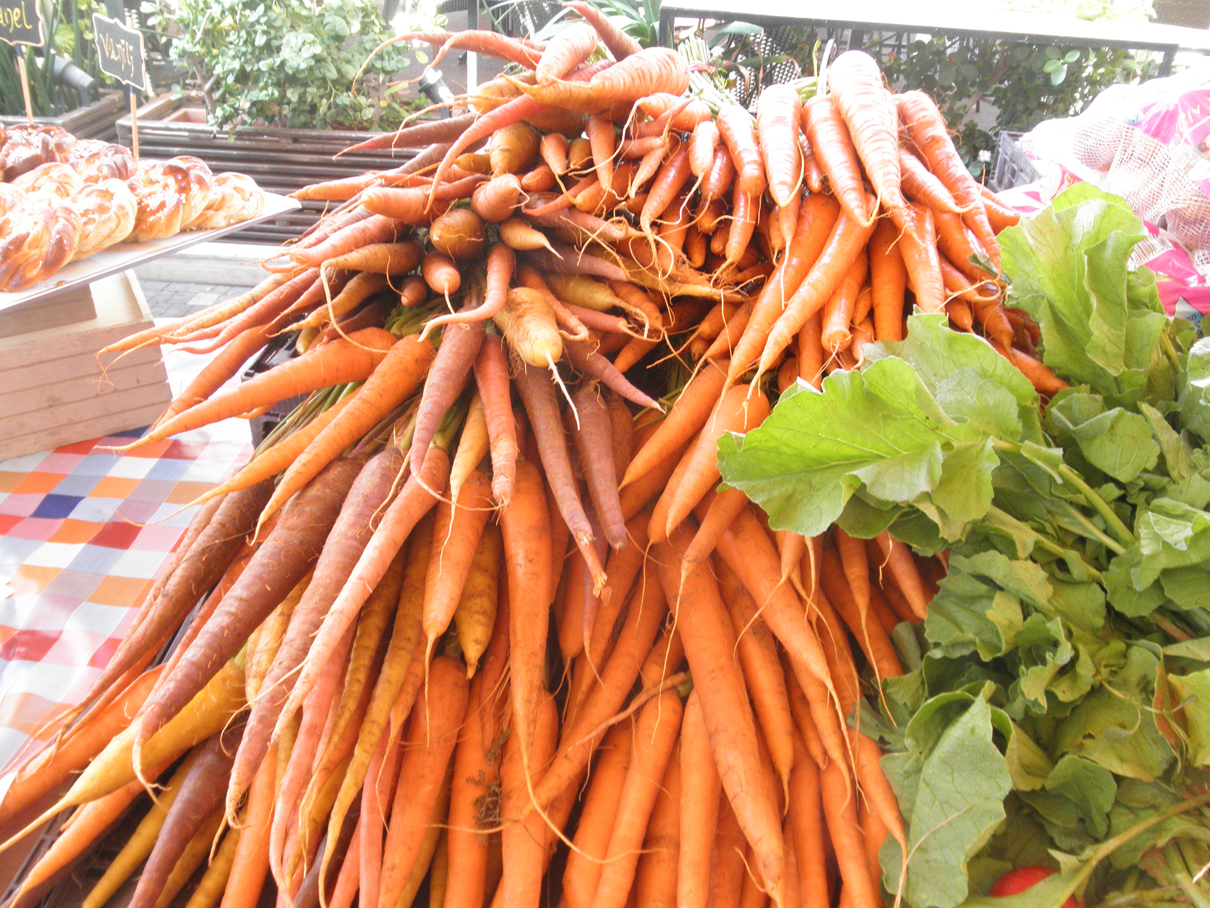 פרויקט גמר צילומי אוכל by elad hay - Illustrated by אלעד חי - Ourboox.com