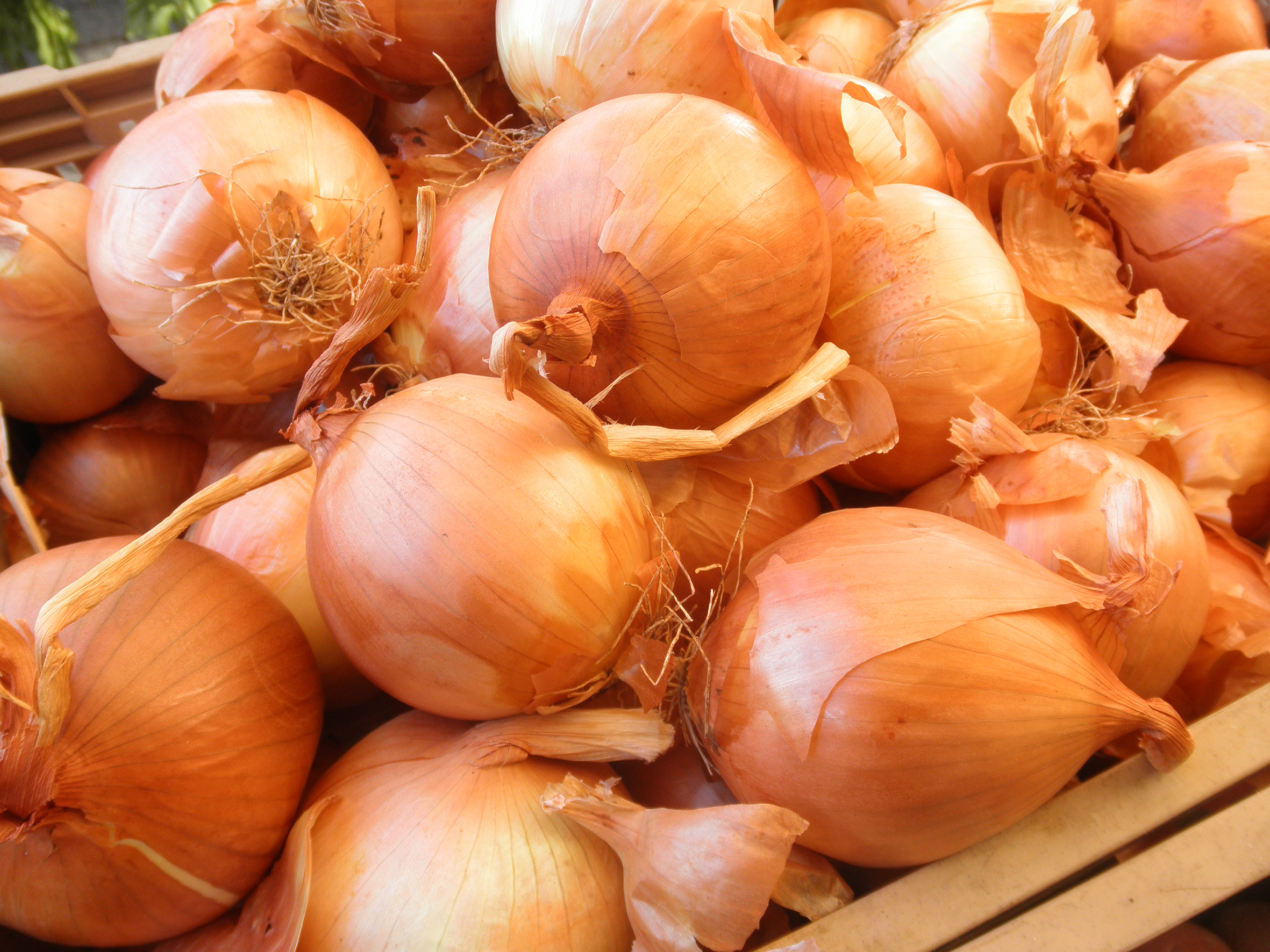 פרויקט גמר צילומי אוכל by elad hay - Illustrated by אלעד חי - Ourboox.com