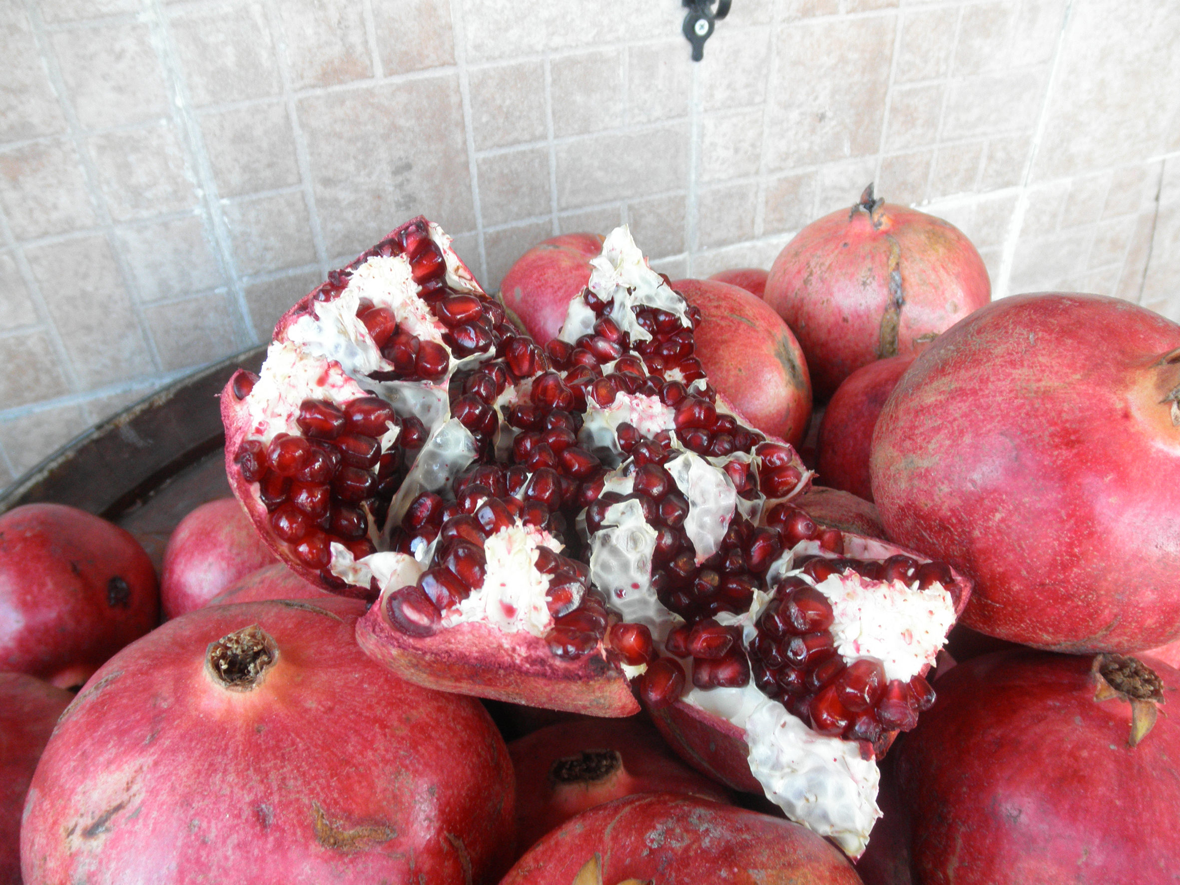 פרויקט גמר צילומי אוכל by elad hay - Illustrated by אלעד חי - Ourboox.com