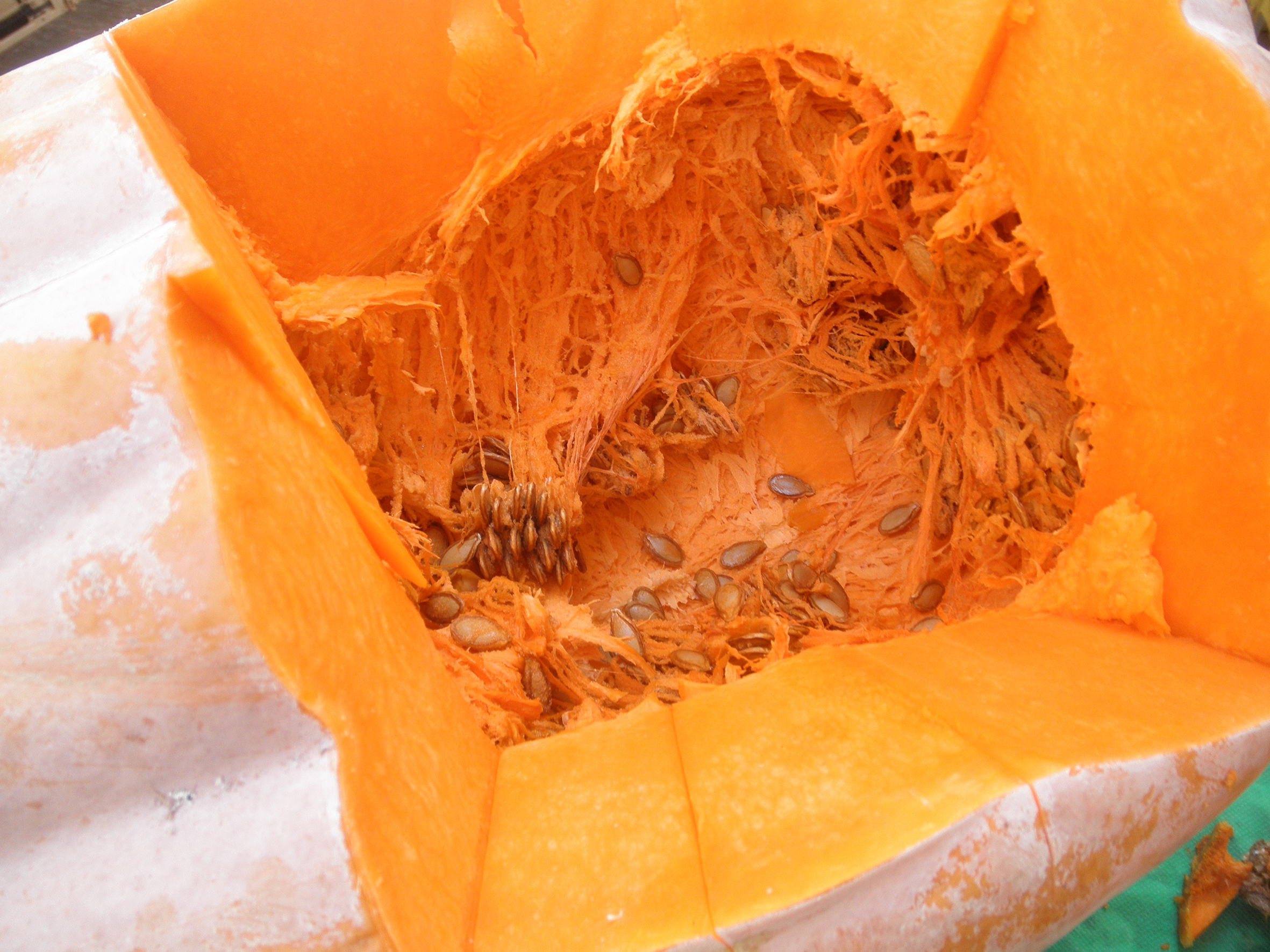 פרויקט גמר צילומי אוכל by elad hay - Illustrated by אלעד חי - Ourboox.com