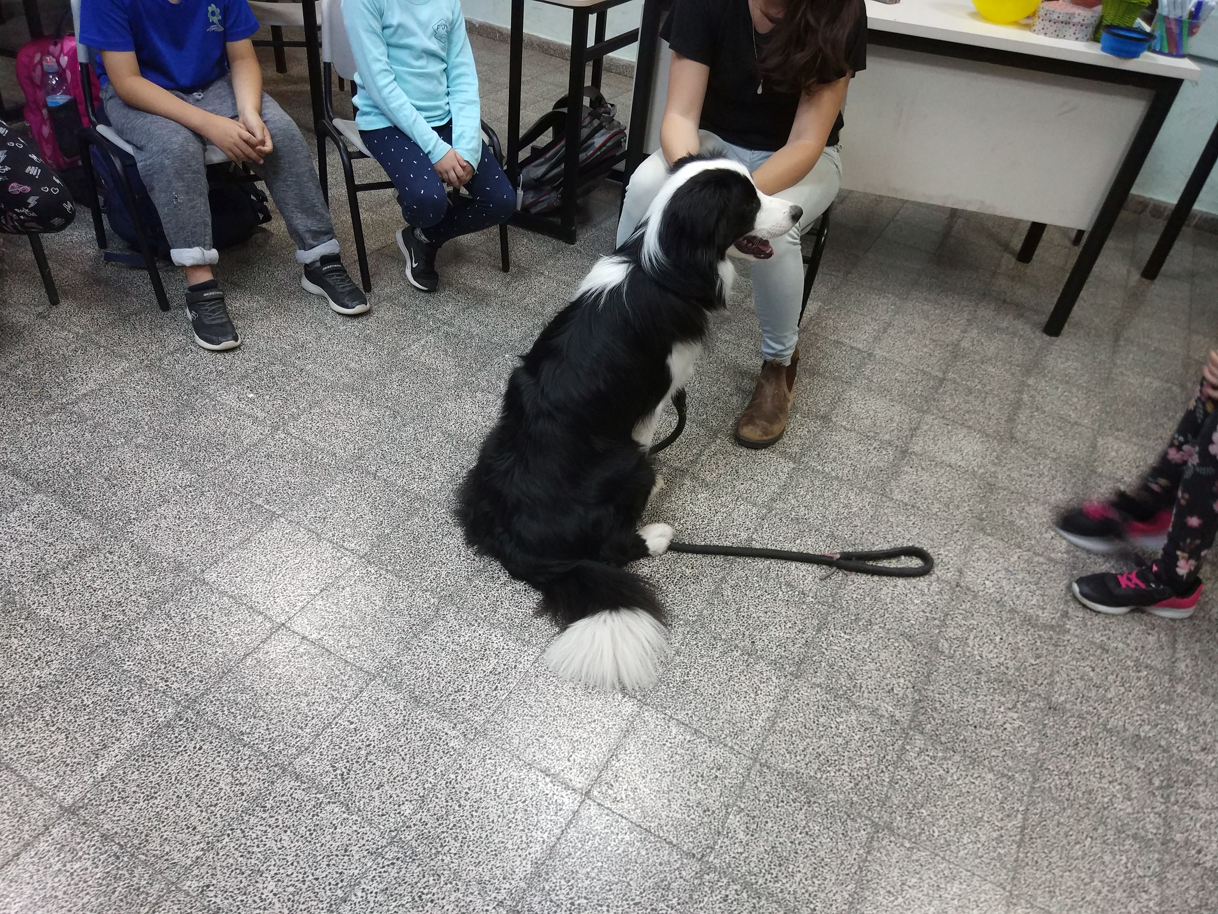 ספר מחזור תשע”ח 2018 by AyeletKaspi - Ourboox.com