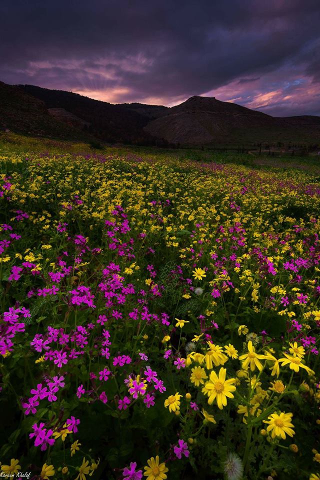 طبيعة بلادي by laila & dunia - Illustrated by lailakhrwat - Ourboox.com