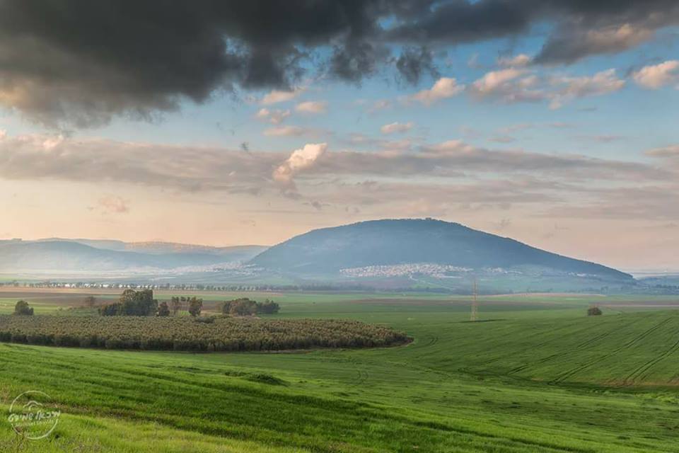 طبيعة بلادي by laila & dunia - Illustrated by lailakhrwat - Ourboox.com