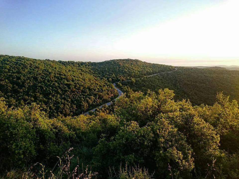 طبيعة بلادي by laila & dunia - Illustrated by lailakhrwat - Ourboox.com