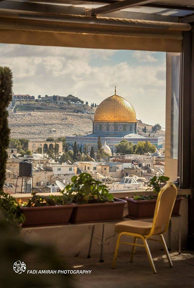 طبيعة بلادي by laila & dunia - Illustrated by lailakhrwat - Ourboox.com