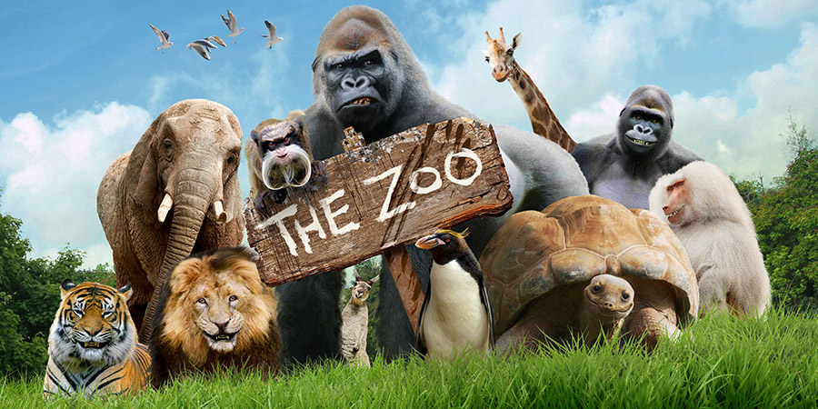 zoo by noam yarik - Illustrated by noam yarik - Ourboox.com