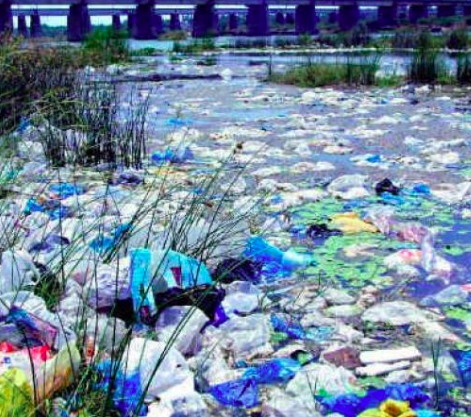 My Favorite Things by Kayla Levy - Ourboox.com