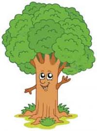 “الشجرة” by fatinzidan - Ourboox.com