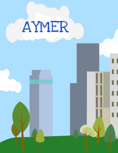 AYMER by Ayşegül - Ourboox.com