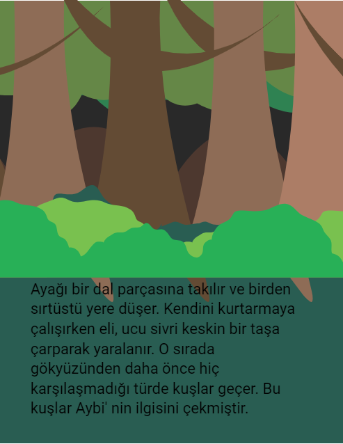 AYMER by Ayşegül - Ourboox.com