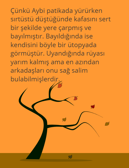 AYMER by Ayşegül - Ourboox.com